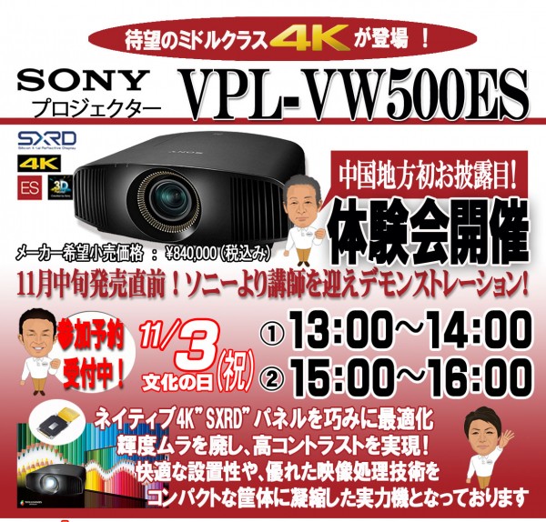 SONY VPL-VW500ES